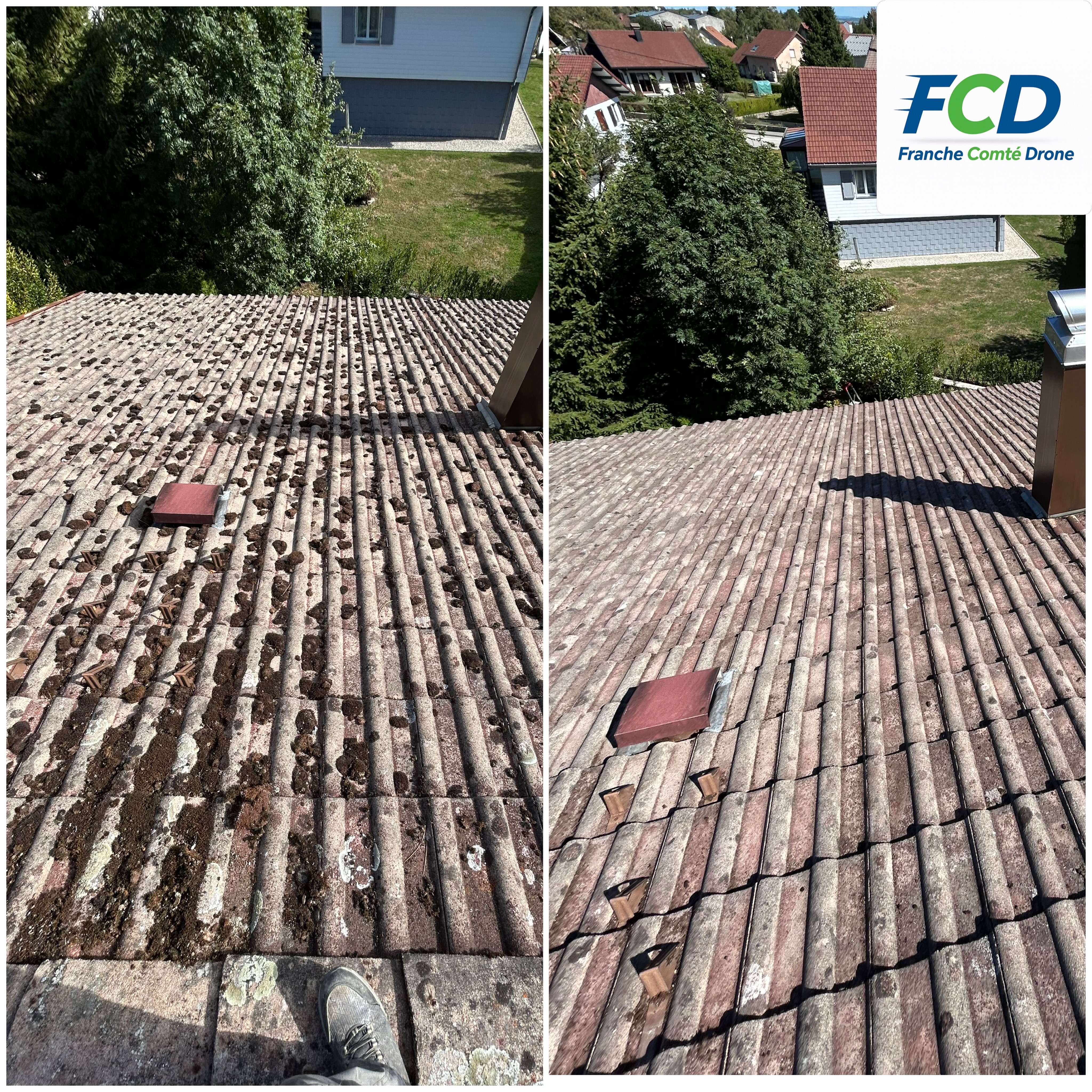 DC1F9EDC-CBCF-4CA6-B3D4-6977A15CDBDE.JPG